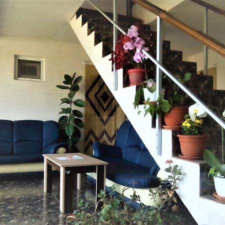 Vila Nico Costinesti Bagian luar foto